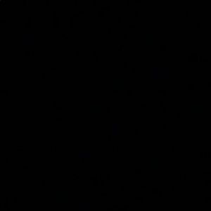 Meet your Posher, Abigail